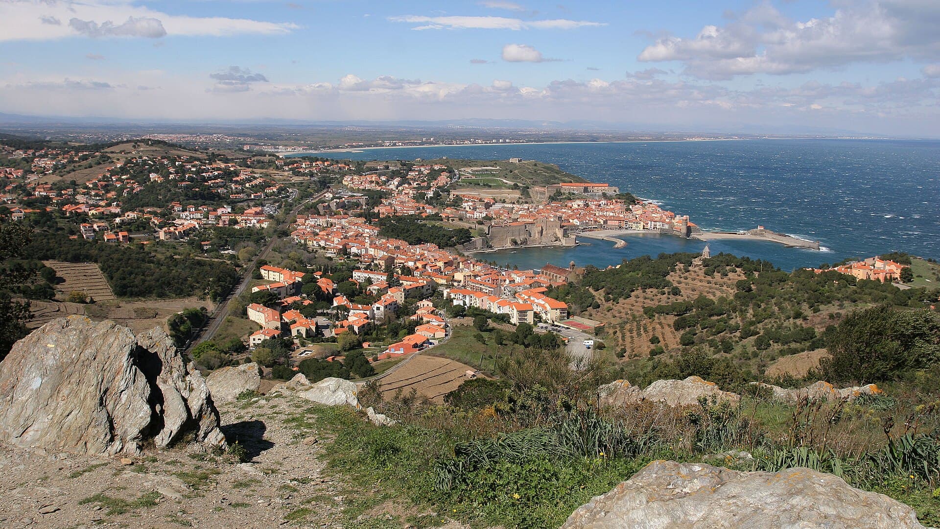 Airbnb Market in Collioure in June 2026: 142 Listings Analyzed
