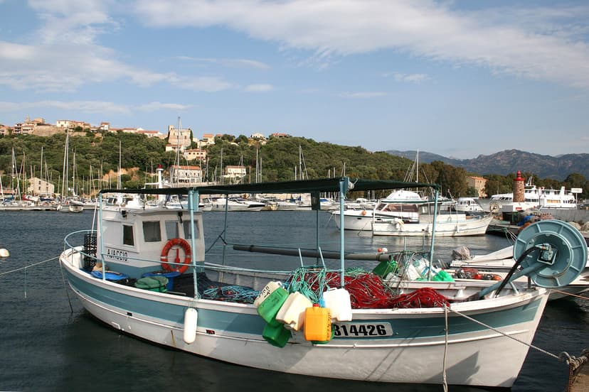 Airbnb Market in Porto-Vecchio in June 2026: 3,638 Listings Analyzed